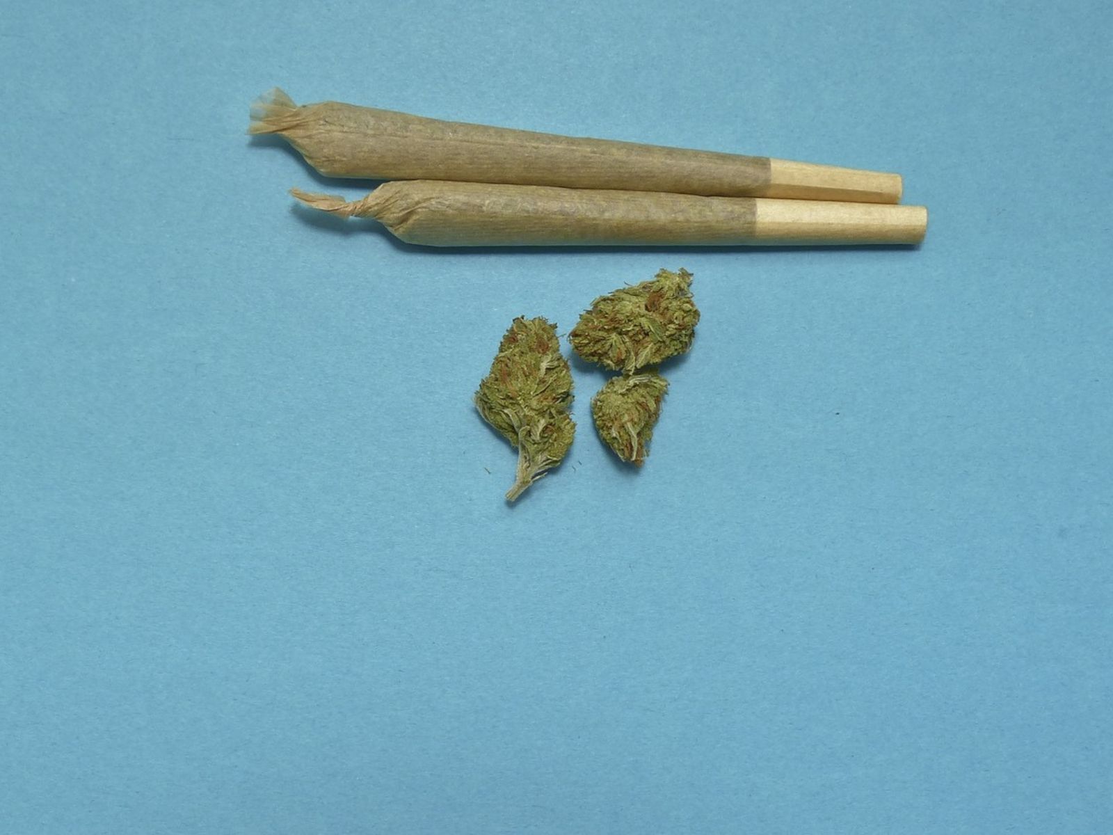 Fresh &amp; Smooth Smoking Experience With Euro Cannabis Pre-Rolled Joints