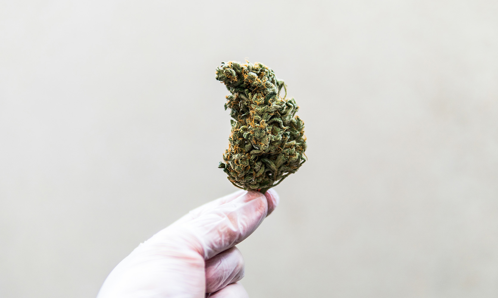 Shop Legal U.S. Products with Your Medical Cannabis Prescription