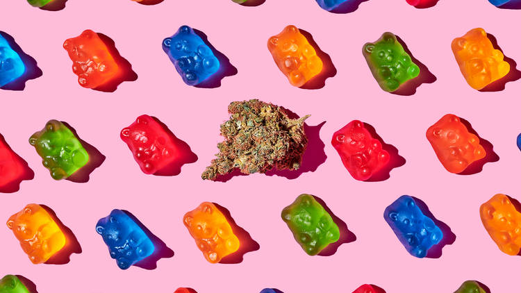 THC Infused Edibles EU – Fast Delivery for THC-A Flower & Vape Pens